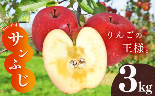 サンふじ りんご 3kg | 林檎 リンゴ 果物 くだもの フルーツ ふるーつ 長野県 千曲市 977485 - 長野県千曲市