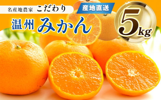 熊本県産 こだわり みかん 約 5kg 下田農園 | フルーツ 果物 くだもの 柑橘 柑橘類 ミカン みかん 熊本県 玉名市