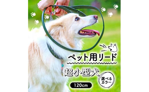 カラー リード 犬 ショップ