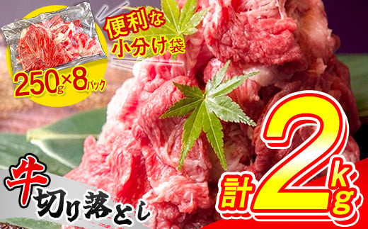 便利な 小分け 牛肉 2kg 牛切り落とし