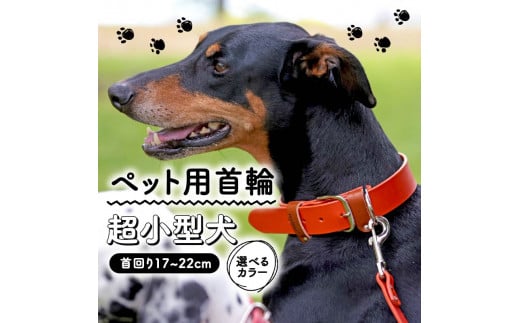 犬 首輪 安い ドーベルマン