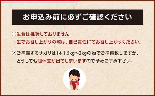 幻のサガリ これが和牛のサガリです