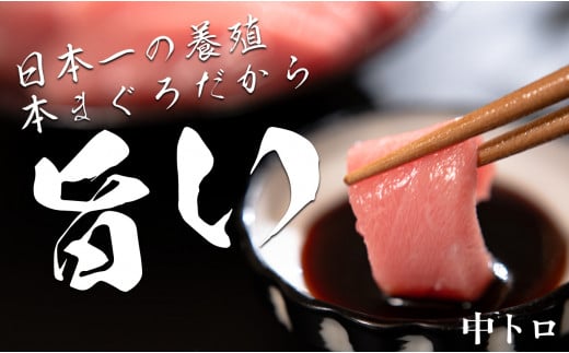 高知県大月町のふるさと納税 【高知県大月町産 本マグロ】 中トロ300g