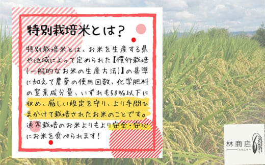 定期便先行予約】【令和7年 1月～ 12ヶ月定期便】 特別栽培米 奈良県広陵町産ヒノヒカリ 白米5kg×12ヶ月 /// ひのひかり ヒノヒカリ  ブランド米 大和米 白米 安心 安全 美味しい 人気 奈良県 広陵町 特別栽培米 - 奈良県広陵町｜ふるさとチョイス - ふるさと納税サイト