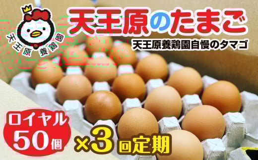 [定期便]3回定期 [天王原のたまご] ロイヤル卵50個入り[定期便 3回定期便 セット たまご 卵 玉子 タマゴ 濃厚 ハリ 弾力 ボリューム 甘味 旨味 卵黄 風味 生 コク 甘味 卵かけご飯 卵焼き 目玉焼き オムレツ 茶碗蒸し お菓子作り パンの材料]