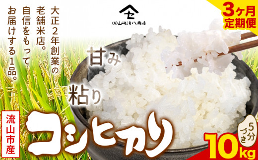 【毎月定期便3回】コシヒカリ 米 10kg《お申込み月の翌月から出荷開始》  新川耕地 5分づき 単発 千葉県 流山市 送料無料 米 こめ ごはん st-p