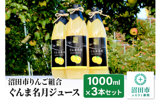 《2025年1月中旬以降発送》沼田市りんご組合 ぐんま名月ジュース（ストレート）1000ml×3本セット