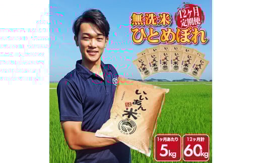 【12回定期便】無洗米ひとめぼれ　5kg×12回(計60kg)　農家直送『いいあん米』AG SY0026