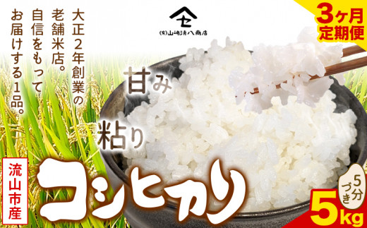 【毎月定期便3回】コシヒカリ 米 5kg《お申込み月の翌月から出荷開始》  新川耕地 5分づき 単発 千葉県 流山市 送料無料 米 こめ ごはん st-p