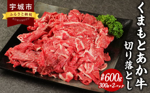 地元ブランド くまもとあか牛 切落し 計600g（300g×2パック）国産 和牛 牛肉