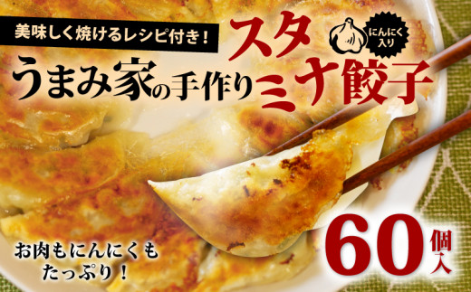 餃子 スタミナ 60個 生餃子 冷凍  手