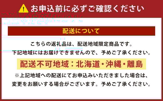 ダニを通さない生地使用 掛敷布団カバー 2点セット【セミダブルロングサイズ】