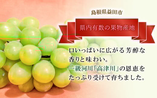エメラルドグリーンの果粒と芳醇な香りと味わい