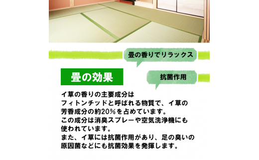 畳の表替えご利用券（中国産 畳 イ草 6畳まで）《滝沢市 盛岡市 雫石町 矢巾町 限定》【盛岡畳工業】 - 岩手県滝沢市｜ふるさとチョイス -  ふるさと納税サイト