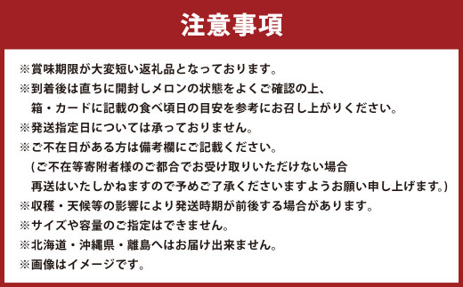 【3ヶ月定期便】静岡県産高級 アローマメロン 山等級 1玉 約3.9kg以上 化粧箱入