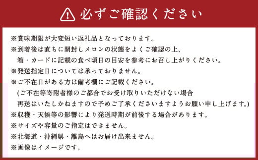 【3ヶ月定期便】静岡県産高級 アローマメロン 白等級 中玉 1玉 約3.9kg以上 化粧箱入