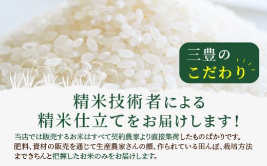 令和6年産 京都丹後産 特別栽培米ミルキークイーン10kg（5kg×2袋） ST00050 - 京都府京丹後市｜ふるさとチョイス - ふるさと納税サイト