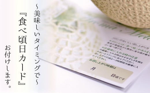 【6ヶ月定期便】静岡県産高級 アローマメロン 山等級 1玉 約7.8kg以上 化粧箱入