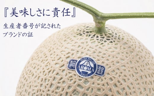 【6ヶ月定期便】訳あり 静岡県産 アローマメロン 1玉 約6.0kg以上 化粧箱入