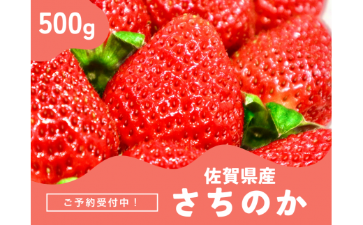 ＜先行予約受付中・令和7年2月以降順次発送＞濃厚苺 さちのか 500g（A13723-04） 1521750 - 佐賀県佐賀県庁