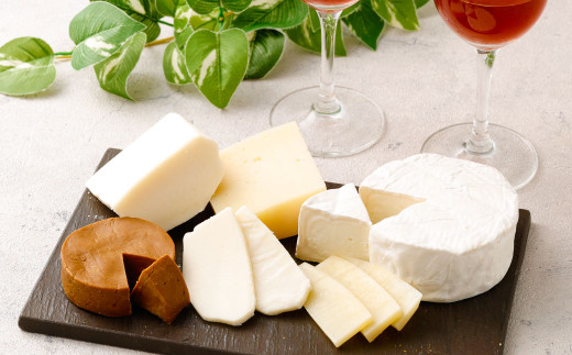 4種のチーズセット 4個 合計410g チーズ セミハード ブラウンチーズ 白カビチーズ カマンベール 乳製品 スイーツ デザート 冷蔵