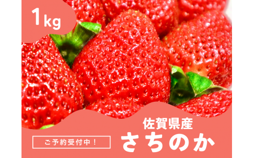 ＜先行予約受付中・令和7年2月以降順次発送＞濃厚苺 さちのか 1kg（A13724-04）