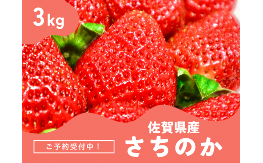 ＜先行予約受付中・令和7年2月以降順次発送＞濃厚苺 さちのか 3kg（A13727-04）