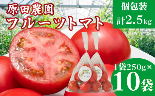 12月下旬～5月頃発送】＜秀品 A品 フルーツトマト 原田農園 約2.5kg 個包装 1袋250g×10袋＞ 桃太郎 高知県 佐川町  ＜当期分は毎年4月上旬頃まで申込受付＞ - 高知県佐川町｜ふるさとチョイス - ふるさと納税サイト