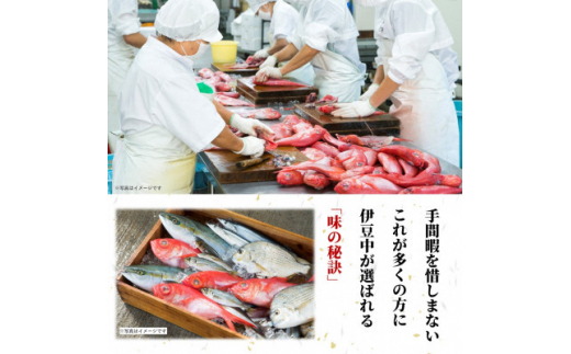 静岡県伊東市のふるさと納税 ＜伊東加工・職人手開き＞鯖ひもの食べ比べ【1394359】