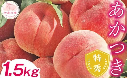 糖度12度以上 福島県産 あかつき 1.5kg 特秀 透過式光センサー選別 2024年7月下旬～2024年8月上旬発送 先行予約 予約 伊達の桃 桃 もも モモ 果物 くだもの フルーツ 名産品 国産 食品 F20C-489 281739 - 福島県伊達市
