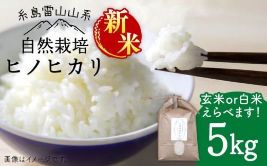 [新米予約受付中]＼令和6年産/[玄米]自然栽培ヒノヒカリ5kg[糸島][大石ファーム] [ATE001-2]