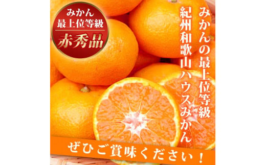 赤秀品 紀州和歌山ハウスみかん 2.5kg【2025年6月下旬頃～2025年7月中旬頃に順次発送】【UT87】 589080 - 和歌山県高野町