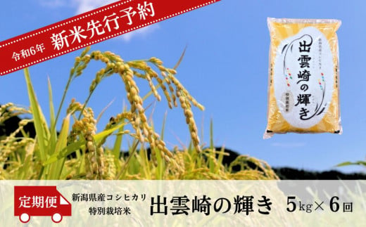 【先行予約】 新米 特別栽培米 コシヒカリ 「出雲崎の輝き」 定期便 5kg 6か月 (10月以降発送予定 )  新潟県産 出雲崎町産 令和6年産 白米 精米 お米  ブランド米 合計30kg 1427136 - 新潟県出雲崎町