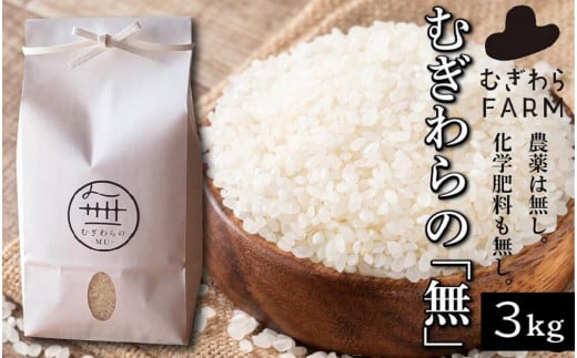 むぎわらの「無」3kg[米 こめ 白米 ひのひかり ヒノヒカリ ごはん ご飯 おにぎり 無農薬 家庭用 贅沢 人気 食品 オススメ 送料無料 福岡県 筑前町 DZ001]