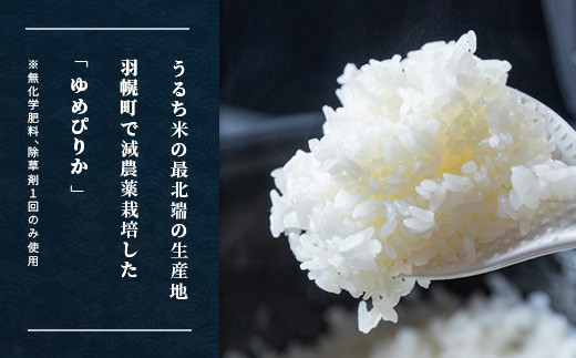 北海道産 特別栽培米 ゆめぴりか ５ｋｇ 無化学肥料、除草剤一回だけで栽培した体に優しいお米