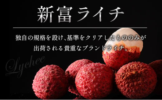 宮崎県新富町のふるさと納税 ［2025年発送］先行予約 希少！国産＜新富ライチpremium50＞50g以上×8玉 国産 ブランド フルーツ 果物 贈答品【C52-25】