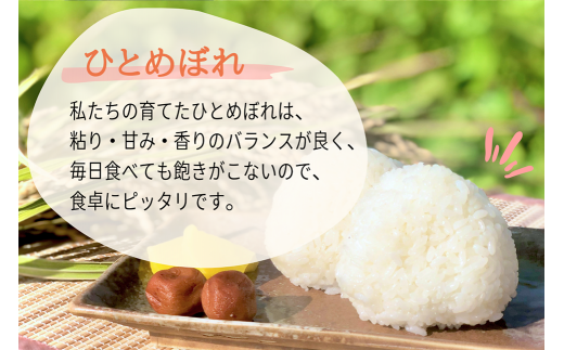 【偶数月6回定期便】岩手県産 ひとめぼれ 三右エ門こだわりのお米 2kg×3袋×6回 合計36kg【2024年10月から2026年2月下旬発送予定】／  お米 コメ ご飯 白米 岩手県 二戸市 - 岩手県二戸市｜ふるさとチョイス - ふるさと納税サイト