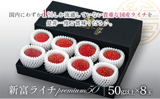 宮崎県新富町のふるさと納税 ［2025年発送］先行予約 希少！国産＜新富ライチpremium50＞50g以上×8玉 国産 ブランド フルーツ 果物 贈答品【C52-25】