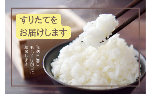 偶数月6回定期便】岩手県産 ひとめぼれ 三右エ門こだわりのお米 2kg×3袋×6回 合計36kg【2024年10月から2026年2月下旬発送予定】／ お米  コメ ご飯 白米 岩手県 二戸市 - 岩手県二戸市｜ふるさとチョイス - ふるさと納税サイト