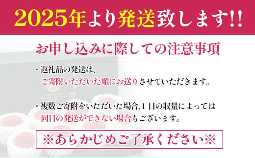 宮崎県新富町のふるさと納税 ［2025年発送］先行予約 希少！国産＜新富ライチpremium50＞50g以上×8玉 国産 ブランド フルーツ 果物 贈答品【C52-25】