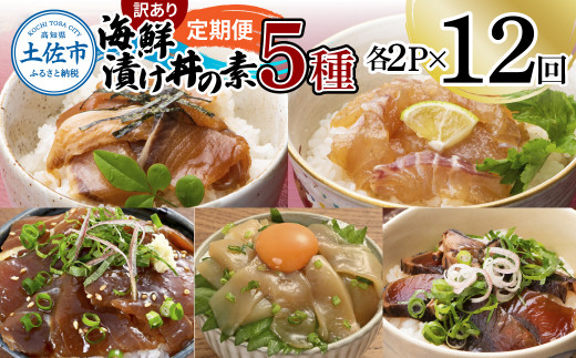 【12回定期便】訳あり土佐の海鮮漬け丼（5種×各2袋）セット 漬け丼の素 タイ 鯛 ブリ 鰤 マグロ 鮪 イカ カツオ 鰹 たたき 新鮮 魚 おかず おつまみ 惣菜 小分け 簡単 訳アリ わけあり