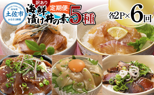 【6回定期便】訳あり土佐の海鮮漬け丼（5種×各2袋）セット 漬け丼の素 タイ 鯛 ブリ 鰤 マグロ 鮪 イカ カツオ 鰹 たたき 新鮮 魚 おかず おつまみ 惣菜 小分け 簡単 訳アリ わけあり