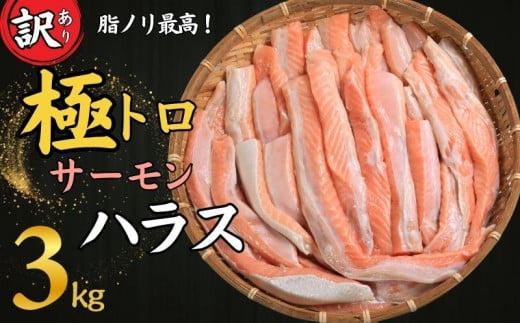 訳あり トロ サーモン ハラス 約3kg （約1kg×3） アトランティックサーモン サーモンハラス トロサーモン サーモン 鮭 さけ しゃけ 規格外 小分け 個別冷凍 冷凍 真空 真空パック お弁当 惣菜 おかず 塩焼き 長期保存 鮮度 旨味 お取り寄せ グルメ 食品 魚 魚貝 大容量 ギフト 贈物 贈り物 プレゼント 海鮮 ふるさと納税 ふるさと納税サーモン 千葉県 銚子市 荒野商店 1516749 - 千葉県銚子市