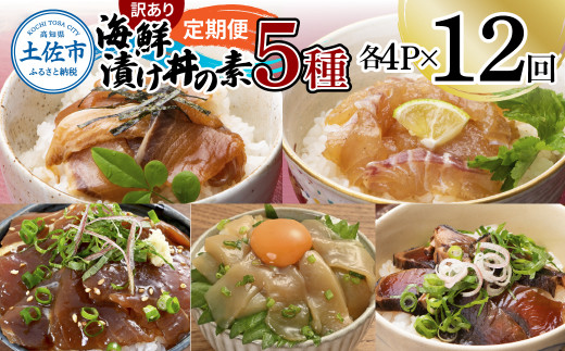 【12回定期便】訳あり土佐の海鮮漬け丼（5種×各4袋）セット 漬け丼の素 タイ 鯛 ブリ 鰤 マグロ 鮪 イカ カツオ 鰹 たたき 新鮮 魚 おかず おつまみ 惣菜 小分け 簡単 訳アリ わけあり