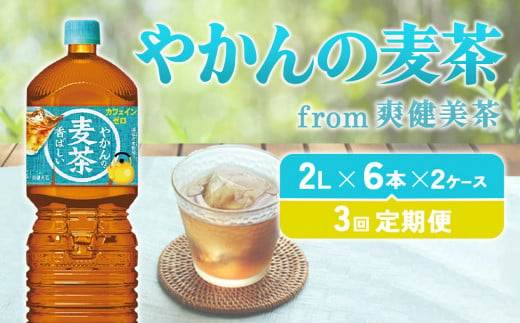 【3回定期便】 やかんの麦茶 from 爽健美茶 PET (2L×6本)×2ケース