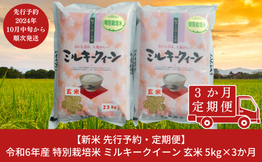 新米 先行予約 [定期便5kg×3ヶ月] 特別栽培米 ミルキークイーン 玄米 計15kg 新潟県産 令和6年産米 3か月連続でお届け [佐藤農産有機センター]【025S019】 1153355 - 新潟県三条市