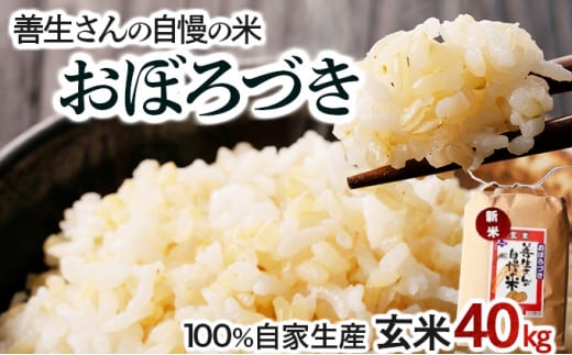 寄附額改定↓ 《令和6年産！》『100%自家生産玄米』善生さんの自慢の米 玄米おぼろづき４０kg※一括発送【06140】 250907 - 北海道岩見沢市