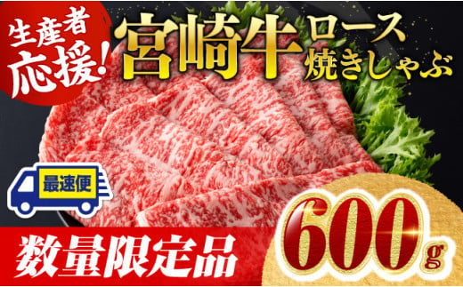 【令和7年2月発送】【数量限定】宮崎牛ロース焼きしゃぶ600g 肉 牛 牛肉 国産 黒毛和牛