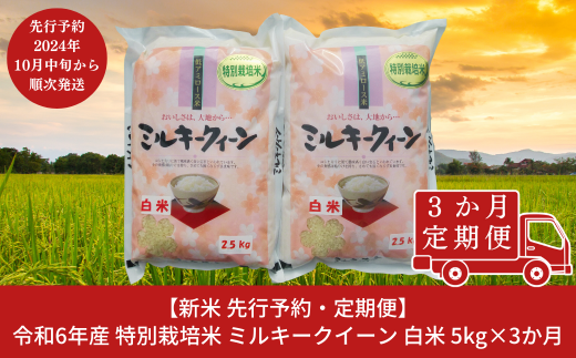 新米 先行予約 [定期便5kg×3ヶ月] 特別栽培米 ミルキークイーン 白米 計15kg 新潟県産 令和6年産米 3か月連続でお届け [佐藤農産有機センター]【027S011】 1153353 - 新潟県三条市