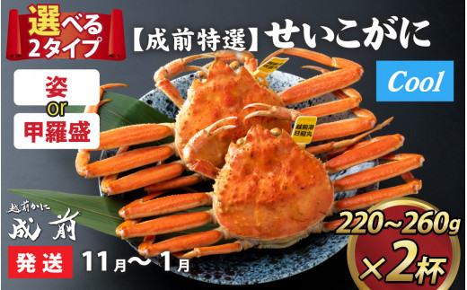 【先行予約】選べる！美味しさ直送【成前特選】 せいこがに（220g～260g）×2杯 【11月～1月発送】甲羅盛  [E-028045_07] 1144375 - 福井県福井市